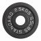 Диск 51 мм. чугунный окрашенный VictoryFit VF-SC510250 (2,5 кг)
