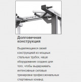 MATRIX Magnum MG-A679 Олимпийская скамья с доводчиком